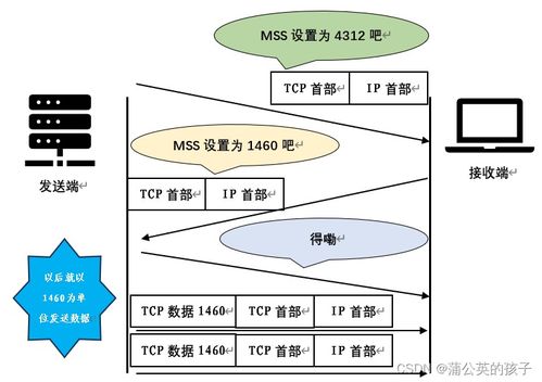 計算機網絡技術服務 支撐數字時代的無形支柱